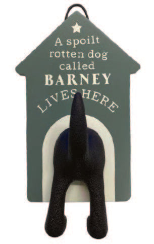 Dog Lead Hook and Treat Jar Prepack Rack