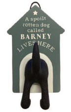 Dog Lead Hook and Treat Jar Prepack Rack