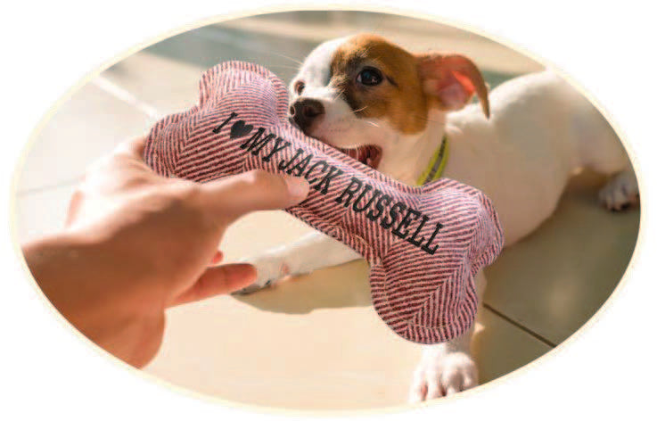 Personalised Squeaky Dog Toy Prepack Rack